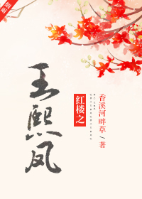 紅樓之王熙鳳小说封面